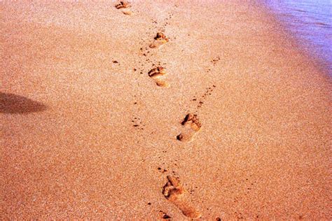 Footprints Free Stock Photo Public Domain Pictures
