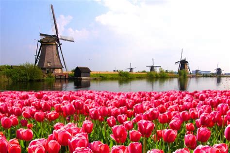 Porady podróżne holandia miejsca natura cele podróży piękne miejsca piękne miejsca turystyka tanie podróżowanie. Moje studia: Holandia