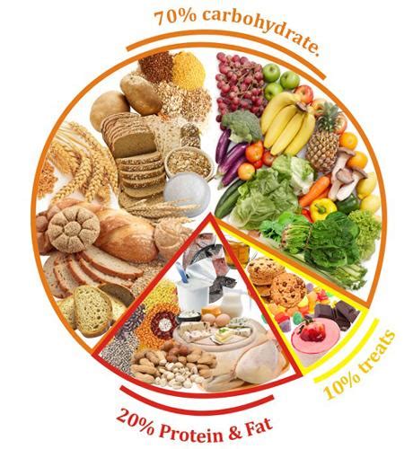 Balanced Diet Chart Tips For A Healthy And Nutritious Diet