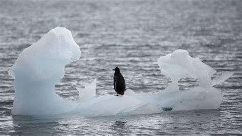 Derretimento Acelera E Antártida Perde 27 Trilhões De Toneladas De
