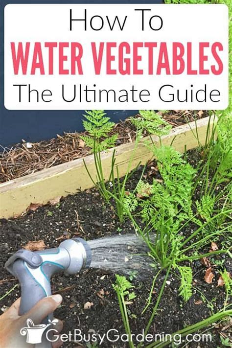 When you touch the soil, it should neither feel soggy. How To Water A Vegetable Garden, The Right Way! in 2020 ...