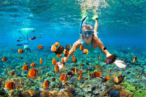 Best Maui Snorkeling Maui Hawaii Skyline Eco Adventures