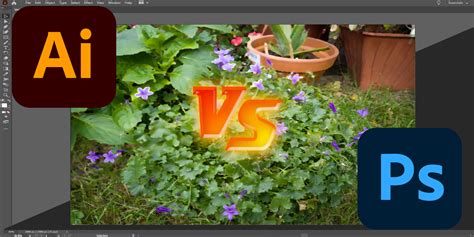 Adobe Illustrator Vs Photoshop Whats The Difference