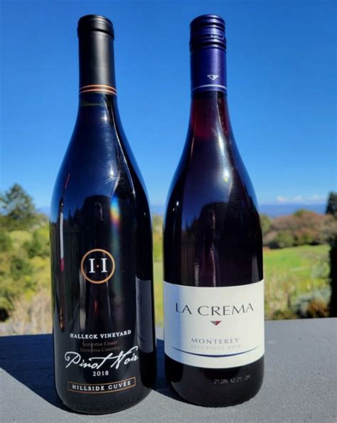 Sonoma Coast Vs La Crema Winery Pinot Noir Wine Review