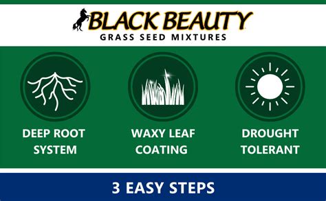 Jonathan Green 10323 Black Beauty Ultra Grass Seed Cool