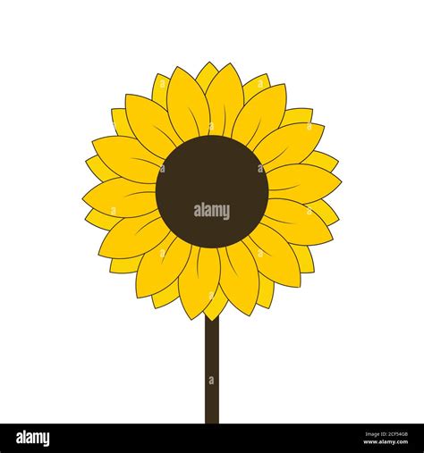 Sunflower Stem Stock Vector Images Alamy