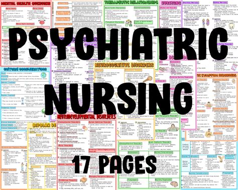 Psychiatric Mental Health Nursing Study Guide Nursing Notes Etsy Uk