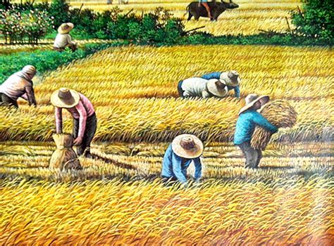 Painting Harvest Scenery In The Philippines Behance
