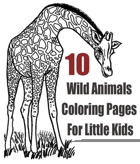 Top 10 Wild Animals Coloring Pages For Little Kids
