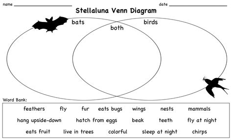 A venn diagram is a way of classifying groups of. Stellaluna Venn Diagram Lesson | Stellaluna, Venn diagram, Word bank