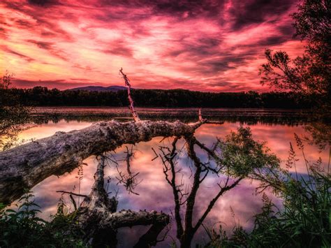 Wallpaper Lake Sunset Trees Hd Widescreen High Definition