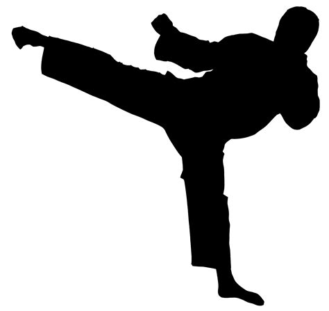 Chinese Martial Arts Karate Taekwondo Kuk Sul Do Karate Png Download