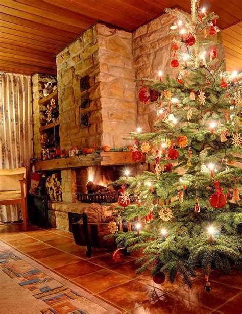 Katie, a former professional ice skater (patterson), is hired by the king of san senova, alexander, to help his daughter in a christmas ice skating performance. Stone Fireplace And Christmas Tree In Senior Room ...