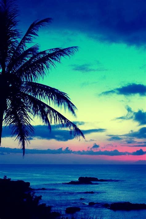 Here you can find the best sunset beach wallpapers uploaded by our community. tropical sunset | Blue sunset, Beach wallpaper, Beach