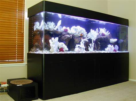 300 Gallon Saltwater Fish Tank Aquarium Design Marine Aquariums And