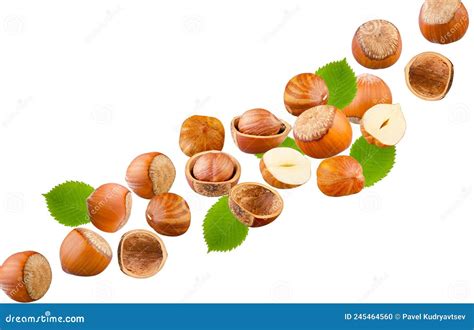 A Set Of Hazelnuts Whole Halves Of The Kernel Peel And Leaves Are