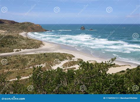 Sandfly Bay On Otago Peninsula New Zealand Stock Image Image Of Destinations Coastline