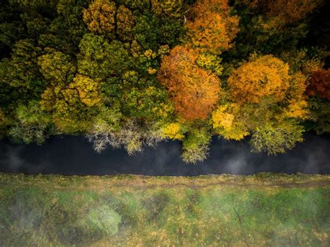 Dronestagram The Magic Of Autumn From Above Easyvoyage