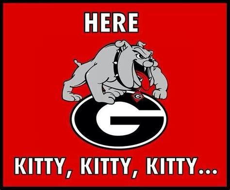 Here Kitty Kitty Go Dawgs Georgia Bulldogs Quotes Georgia Dawgs