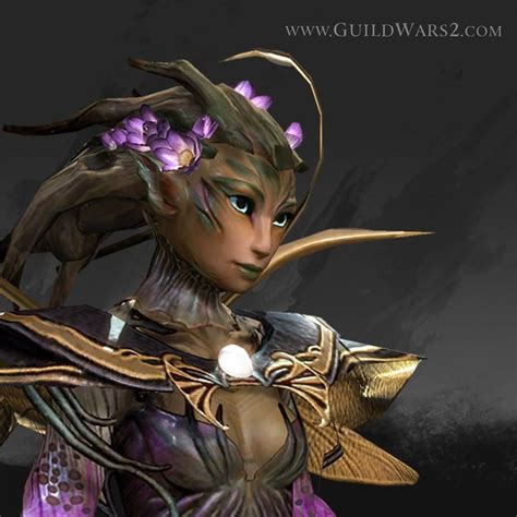 New Sylvari Hairstyle Gw Guild Wars Guild Wars Character Art