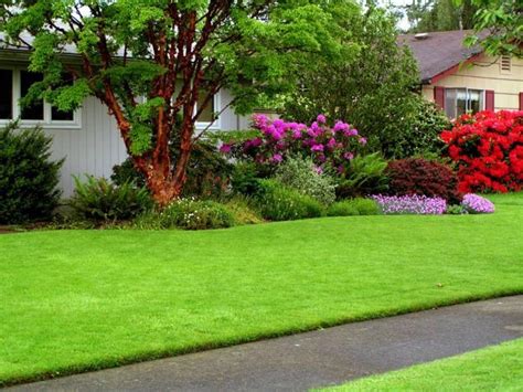Green Lawns And Bright Yard Landscaping Ideas Celebrating Emerald Green
