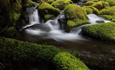 Landscape Forest Waterfall Water Rock Nature Plants Moss Green River Jungle Stream