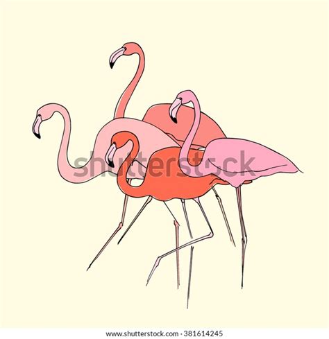 Vector Illustration Hand Drawn Graceful Flamingos Stock Vector Royalty