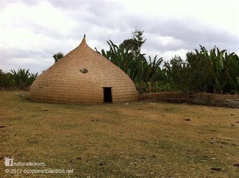 this is a traditional split bamboo plaited roundhouse by the sidama people of ethiopia the dome