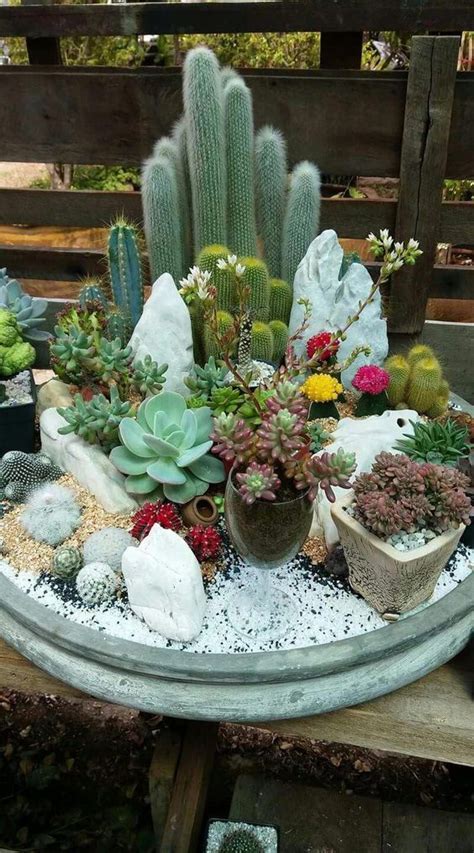 How To Make A Mini Cactus Garden