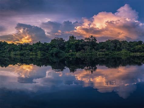 4 Day Amazon Rainforest Adventure In Peru 10adventures