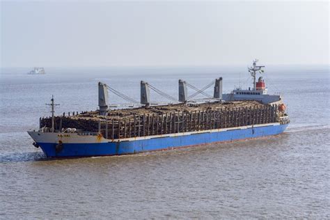 Bulk Carrier Cargo Ship Underway In Sea Stock Image Image Of