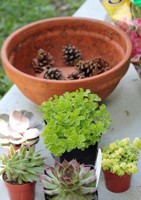 How To Make An Easy Succulent Container Garden 1000 In 2020 Plants