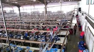 See pt seyang activewear's products and customers. PT Dodo Activewear