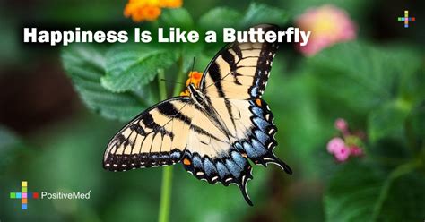 Happiness Is Like A Butterfly Positivemed