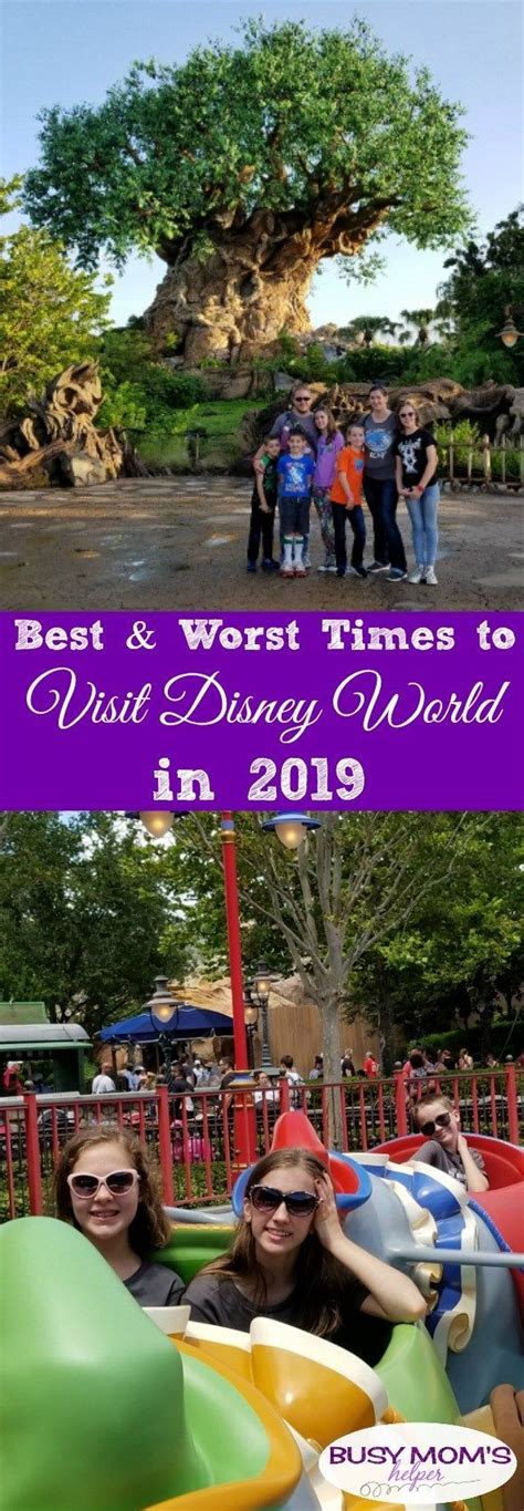 Best And Worst Months To Visit Disney World In 2019 Disney World