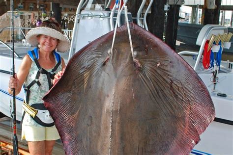 Woman Catches Potentially Record Breaking 185 Pound Stingray In