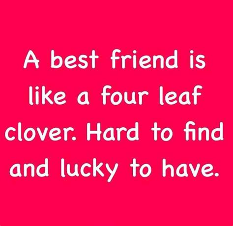 Best Friend Friendship Quotes Photo Album Quote Friends Are Like