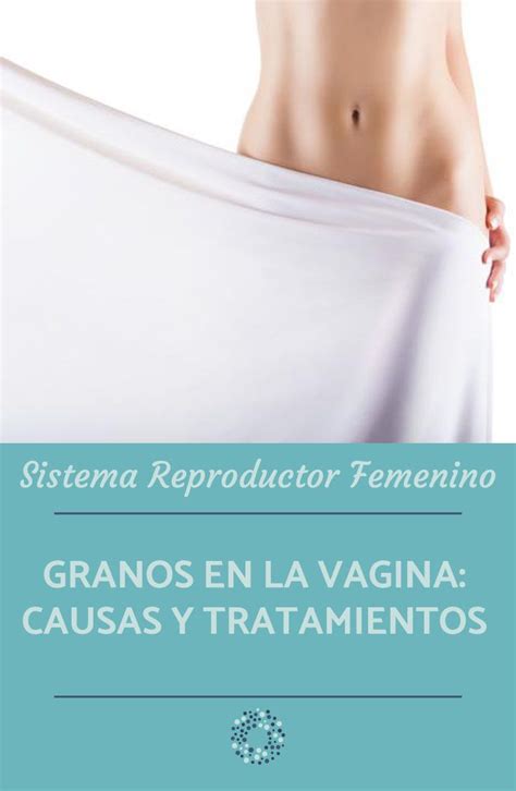 Granos En La Vagina Causas Y Tratamientos Artofit