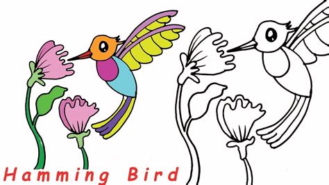 How To Draw A Hummingbird And Flower Step By Step Best Flower Site