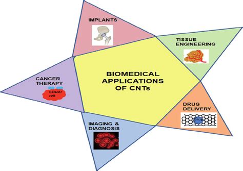 Cnt Applications In Biomedical Field Download Scientific Diagram