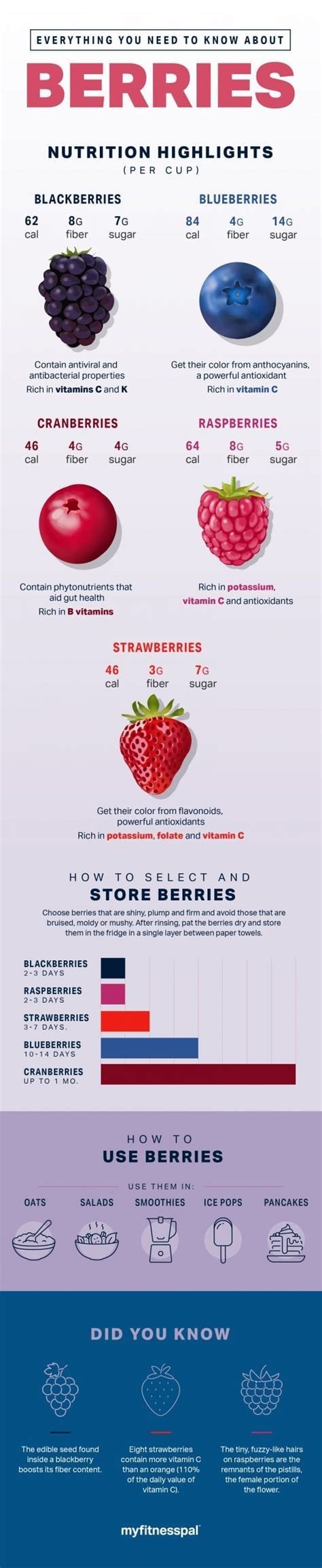 Everything You Need To Know About Berries Nutrition Myfitnesspal