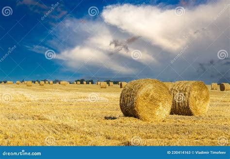 Rural Landscape With Rolled Haystack Summer Landscape With A Beautiful