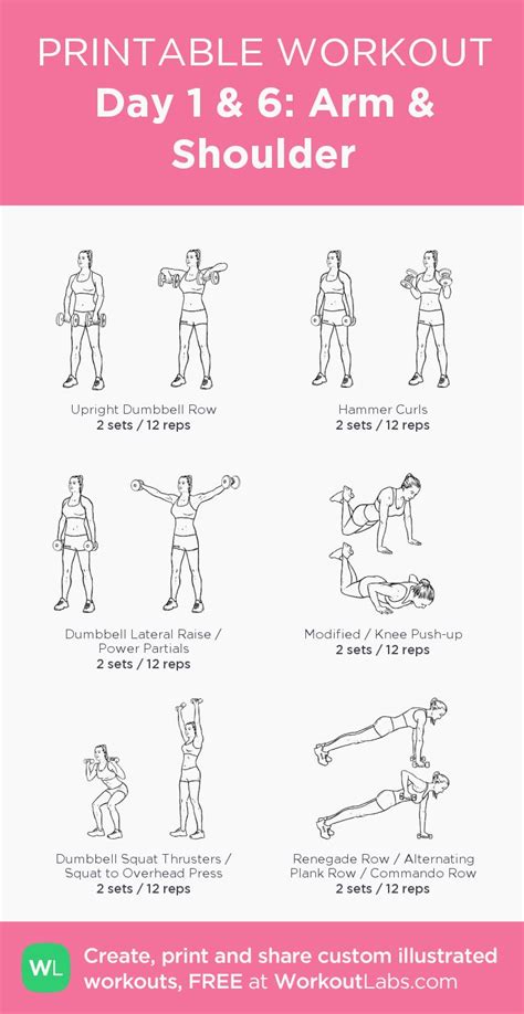 Day 1 And 6 Arm And Shoulder Barbell Training Whole Body Training Back