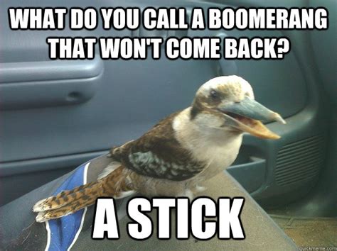 Bad Joke Kookaburra Memes Quickmeme