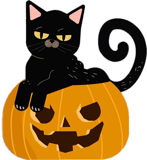 Freetoedit Pumpkin Cat Catblack Sticker By Mai3107