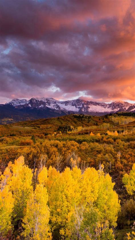 Free Download Amazing Colors Beautiful Treest Sunset Sunrise Colorado