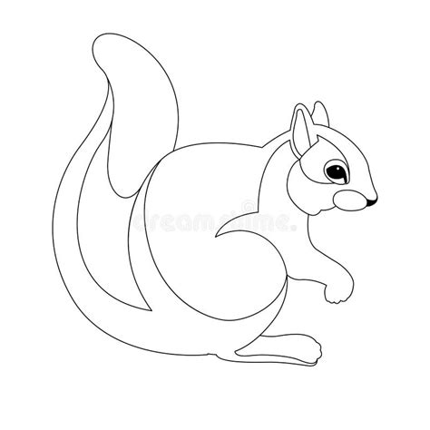 Squirrel Vector Illustration Line Drawing Stock Vector Illustration