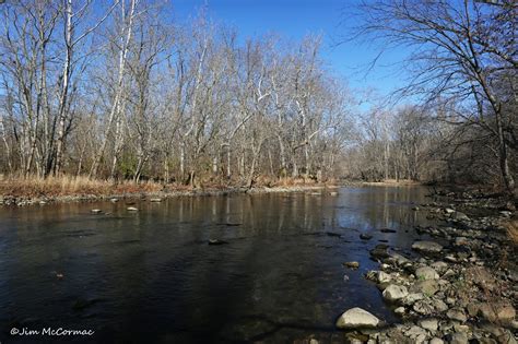 Ohio Birds And Biodiversity Ohios Scenic River Act A Leader In