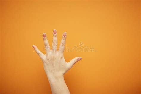 Gesture Female Hand Shows Five Fingers Isolated On Orange Background