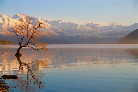 31 Of The Best Things To Do In Wanaka This Winter Little Grey Box